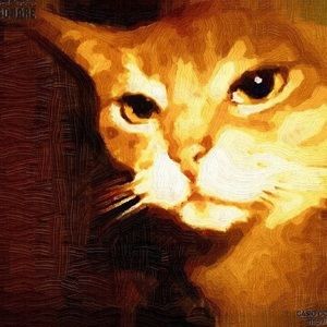 Meet your Posher, Kat